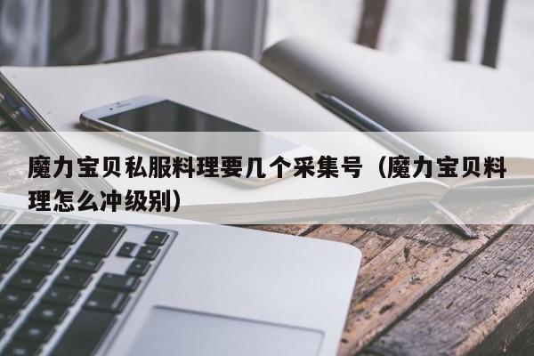 魔力宝贝私服料理要几个采集号（魔力宝贝料理怎么冲级别）